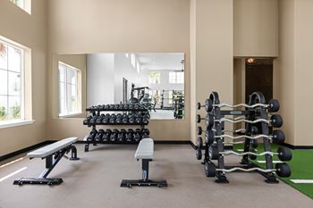 A gym with a variety of equipment including dumbbells, benches, and weight racks  at The Hadley - North Port, FL Apartments, North Port 34287